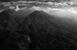 Mt. Gede-Pangrango National Park, West Java, Indonesia