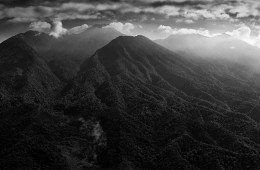 Mt. Gede-Pangrango National Park, West Java, Indonesia