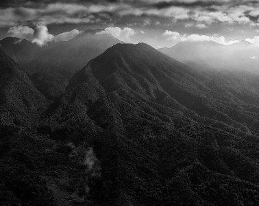 Mt. Gede-Pangrango National Park, West Java, Indonesia