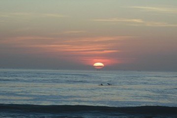 bali beach read