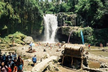 Waterfall in Bali